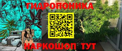 спайс Дубна